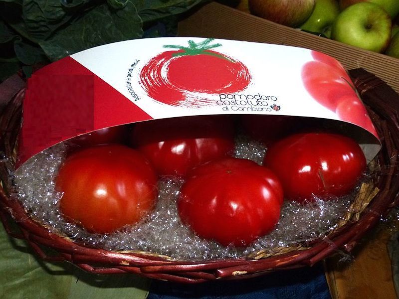 Pomodoro costoluto di Cambiano