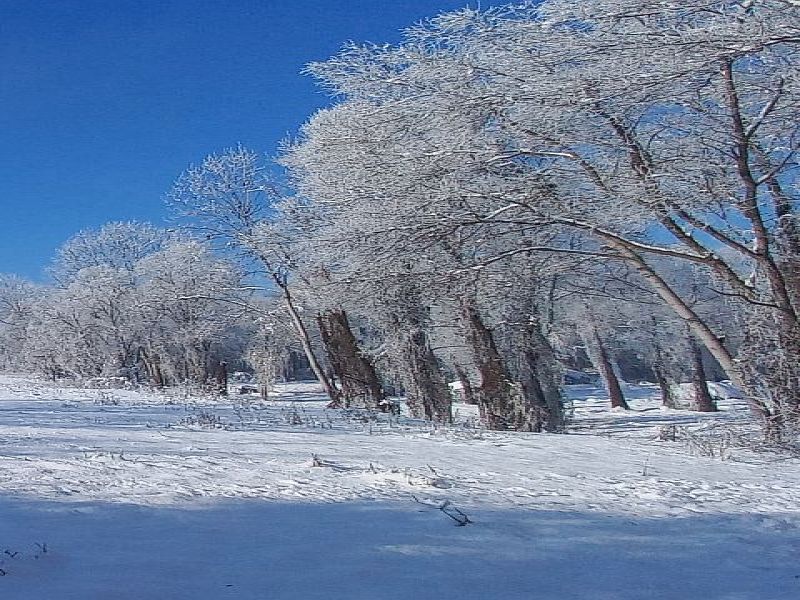 Inverno nel Parco del Po a Casalgrasso