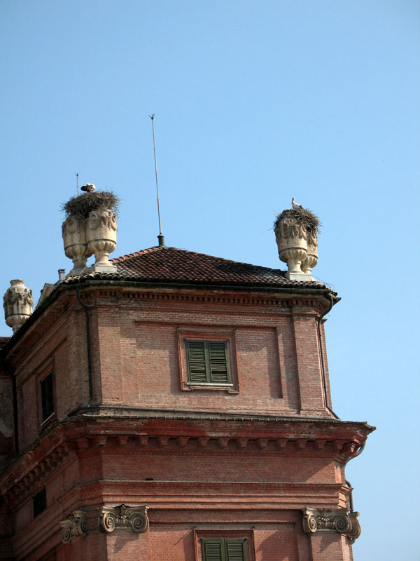 Nidi di cicogne su una torre del Castello di Racconigi