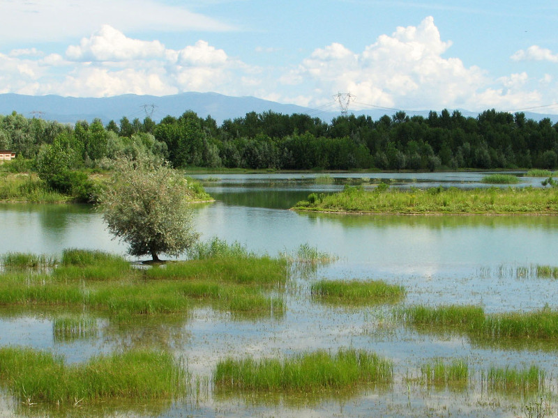 Zones humides de Sansiro, Réserve naturelle Isola Sant'Antonio