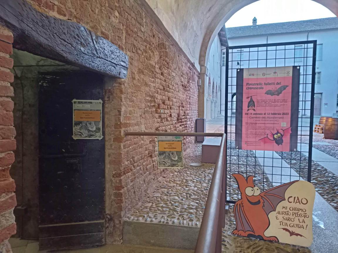 Mostra 'Pipistrelli folletti del crepscolo' nel castello di Casale (F. M. Teresa Bergoglio)